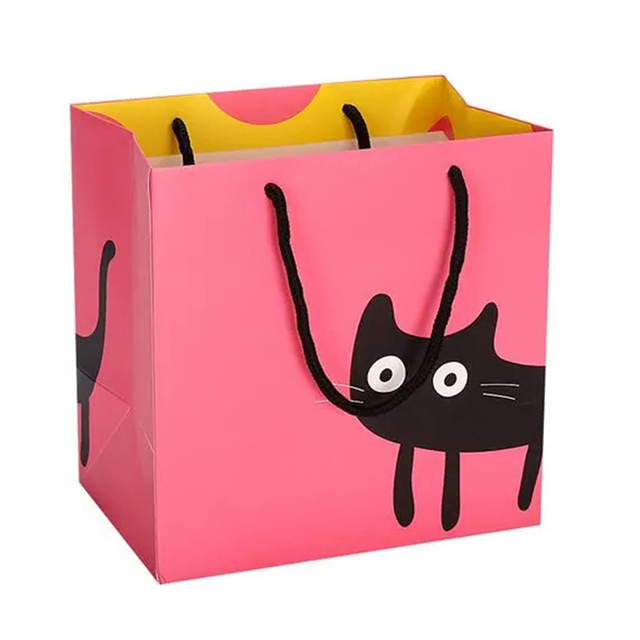 Manufacture Whole China Factory Print Biodegradable Black Kraft Clothing Paper Bags ECO Friendly