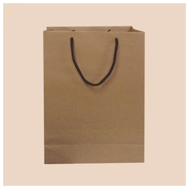 Hot Sale Custom Christmas Paper Gift Bag Christmas Gift Bags for Gift