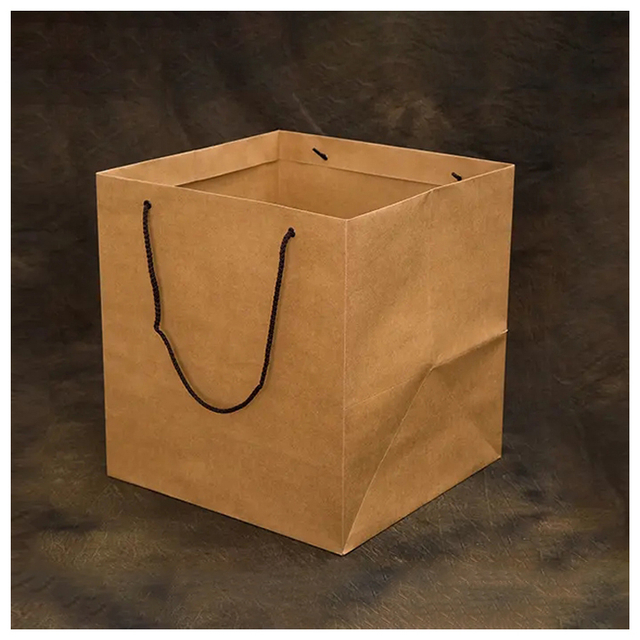 Paper Bags with Your Own Logo /customized Bags Paper Bags For Free Sample