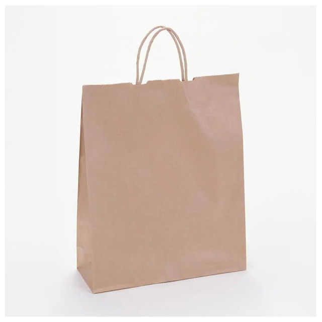 White And Brown Kraft Paper Twisted Handle Shopping Carrier Bag With Logo Printed