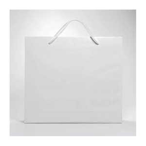 Packaging Oem Carton Gift Box And Eco Paper Bag