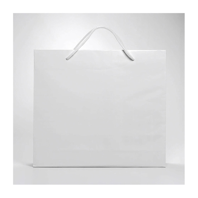 Packaging Oem Carton Gift Box And Eco Paper Bag